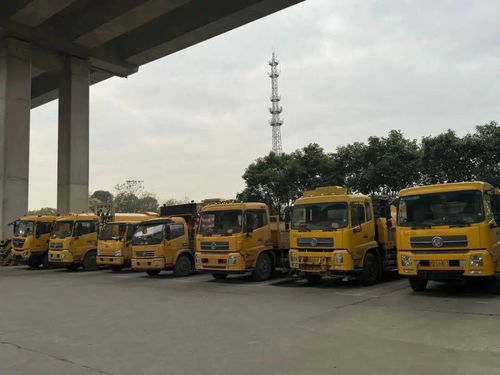 寒潮來襲，上海道路貨運(yùn)行業(yè)多措并舉力保暢通