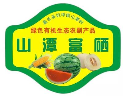 嘉禾第二屆富硒西瓜節倒計時 一場品味健康與豐收的盛會