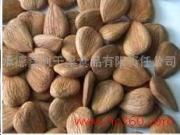 承德嘉利干果食品有限責任公司 綠色農副產品的天然寶庫