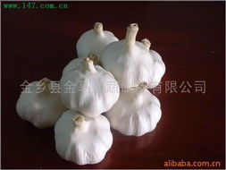 金鄉縣金馬果蔬制品 打造農副產品的綠色名片