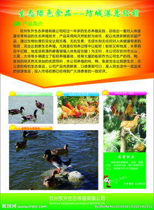 舌尖上的鄉野饋贈 高品質農副產品，源自自然，健康守護