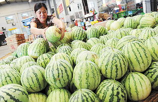 市農副批發市場水果區 品種全供應足，購銷兩旺