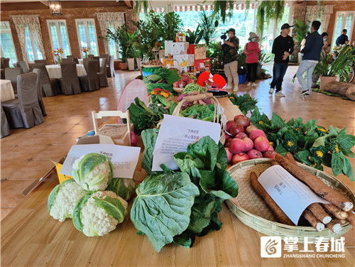 西山區團結街道農副產品盛宴 40種特色靚產亮相招商引資推介會